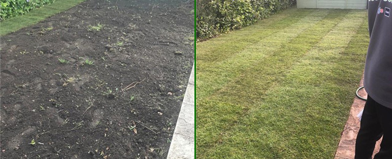 Turfing Services